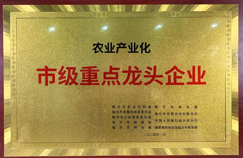 市(shì)級重點龍頭企業(yè)